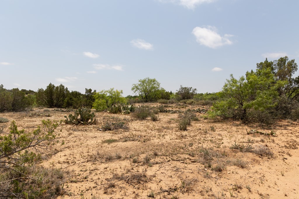 12007 Hwy 350, Colorado City, Texas image 27