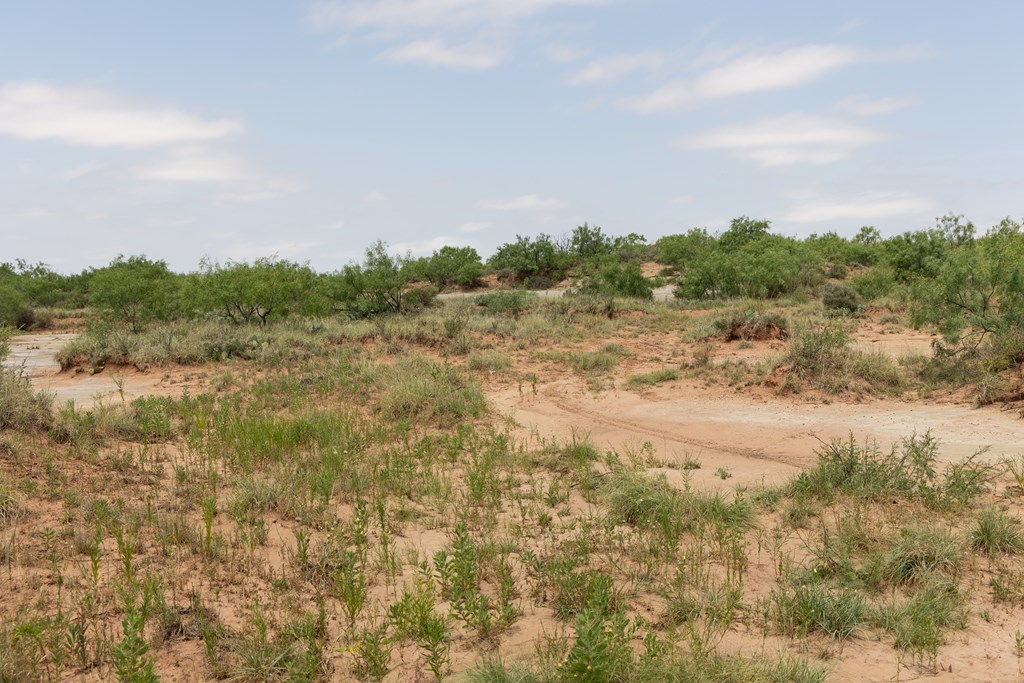 12007 Hwy 350, Colorado City, Texas image 24