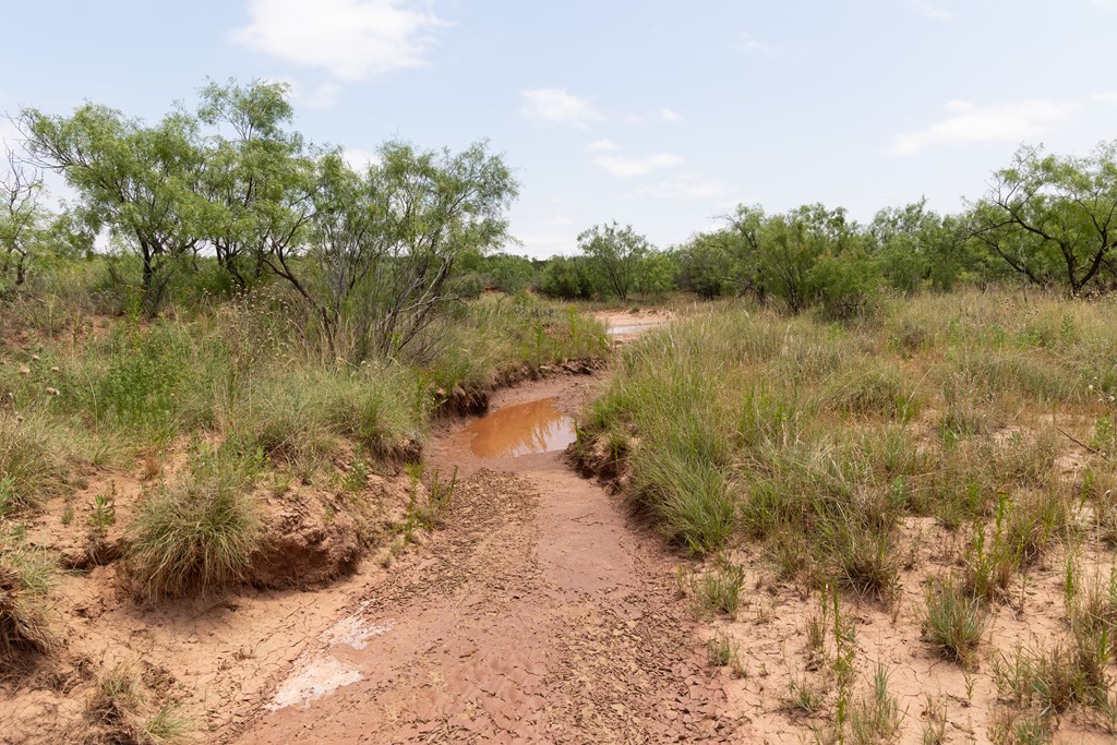 12007 Hwy 350, Colorado City, Texas image 22