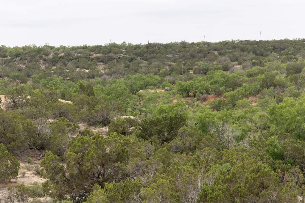 12007 Hwy 350, Colorado City, Texas image 13