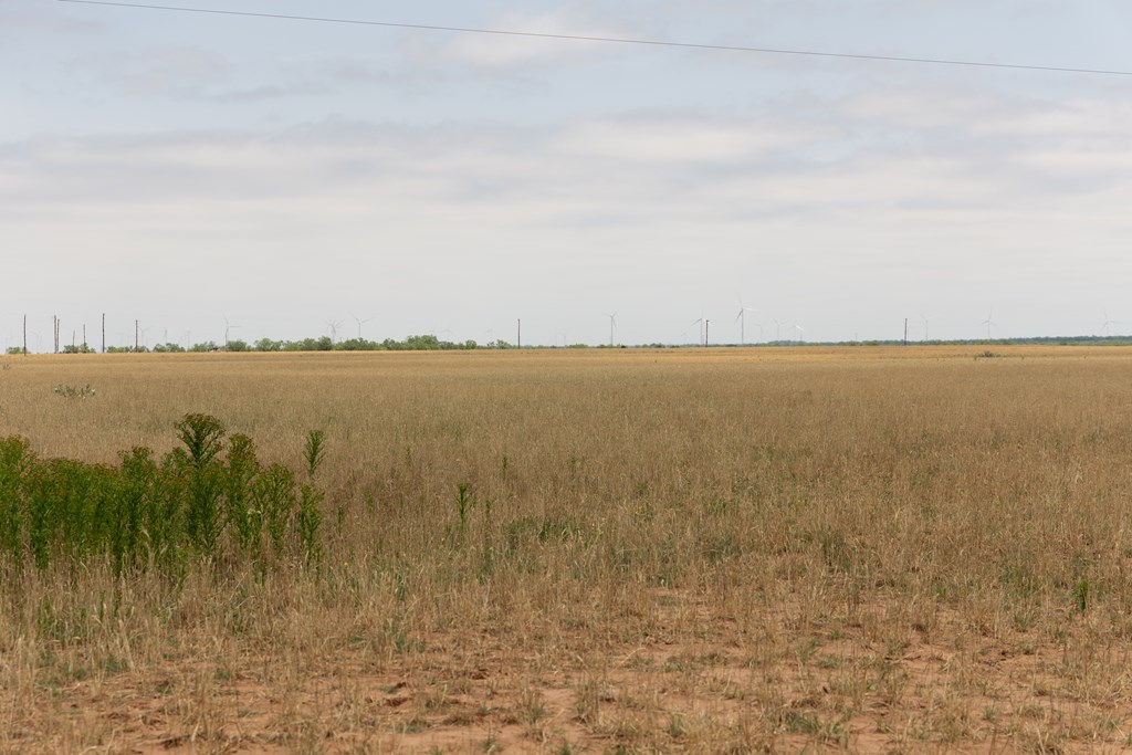 12007 Hwy 350, Colorado City, Texas image 20
