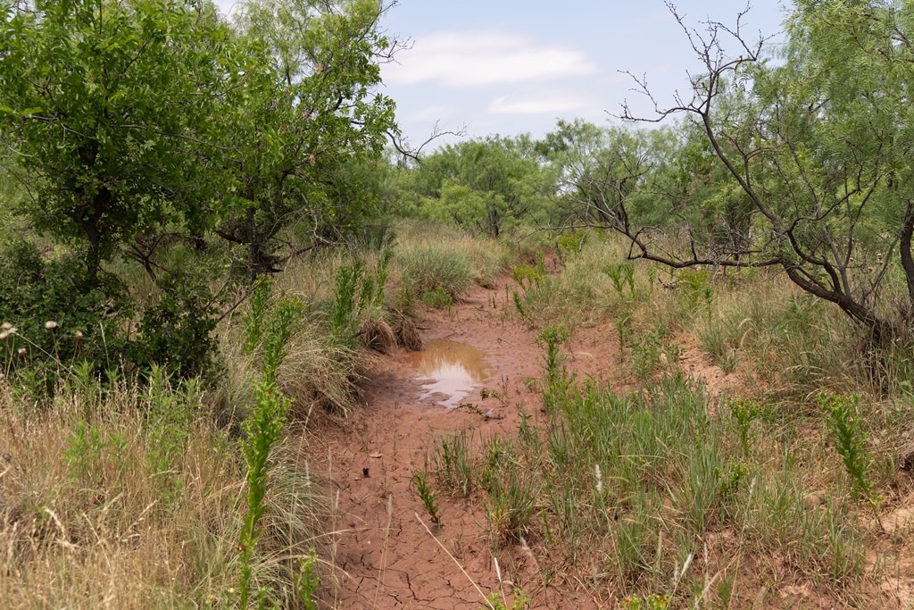 12007 Hwy 350, Colorado City, Texas image 23
