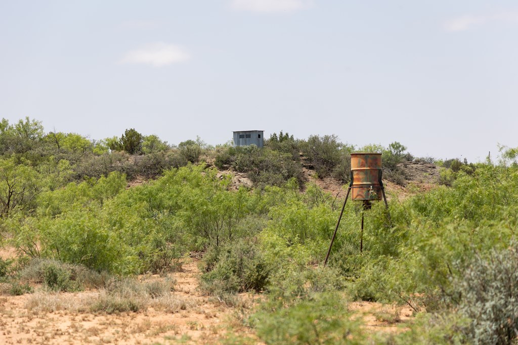 12007 Hwy 350, Colorado City, Texas image 26