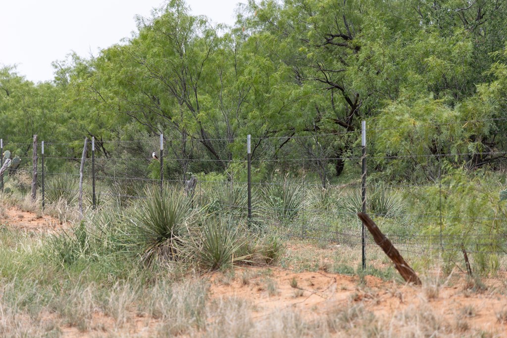 12007 Hwy 350, Colorado City, Texas image 21
