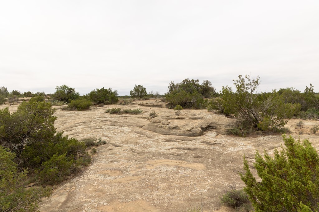 12007 Hwy 350, Colorado City, Texas image 9