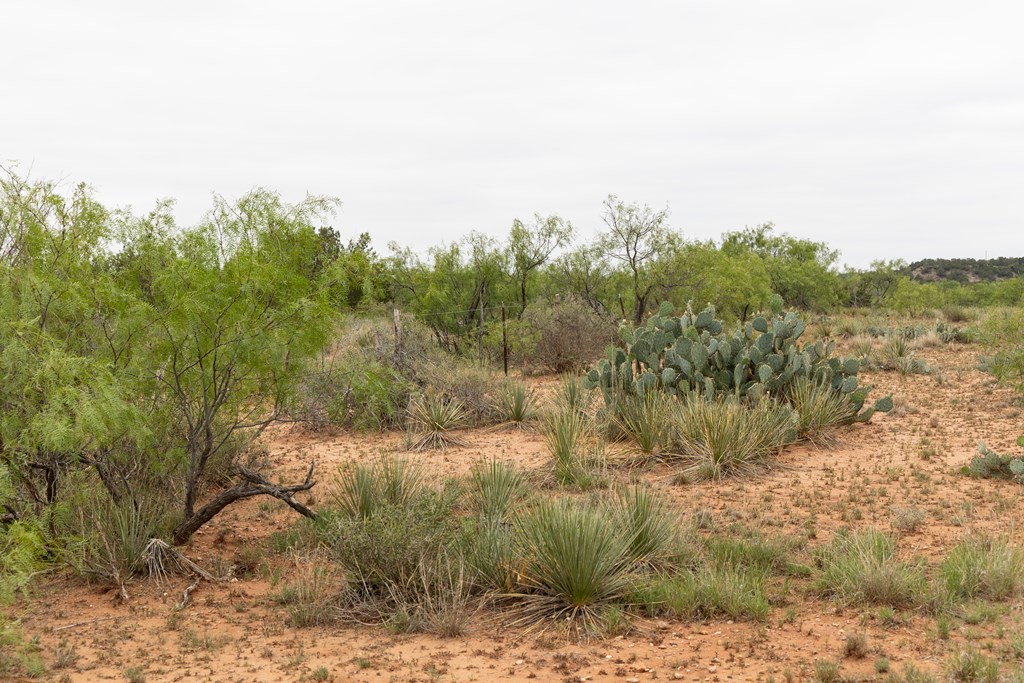 12007 Hwy 350, Colorado City, Texas image 16