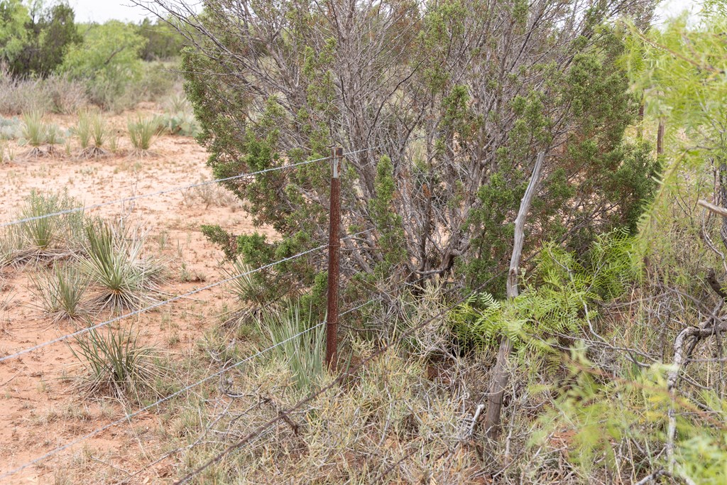 12007 Hwy 350, Colorado City, Texas image 17