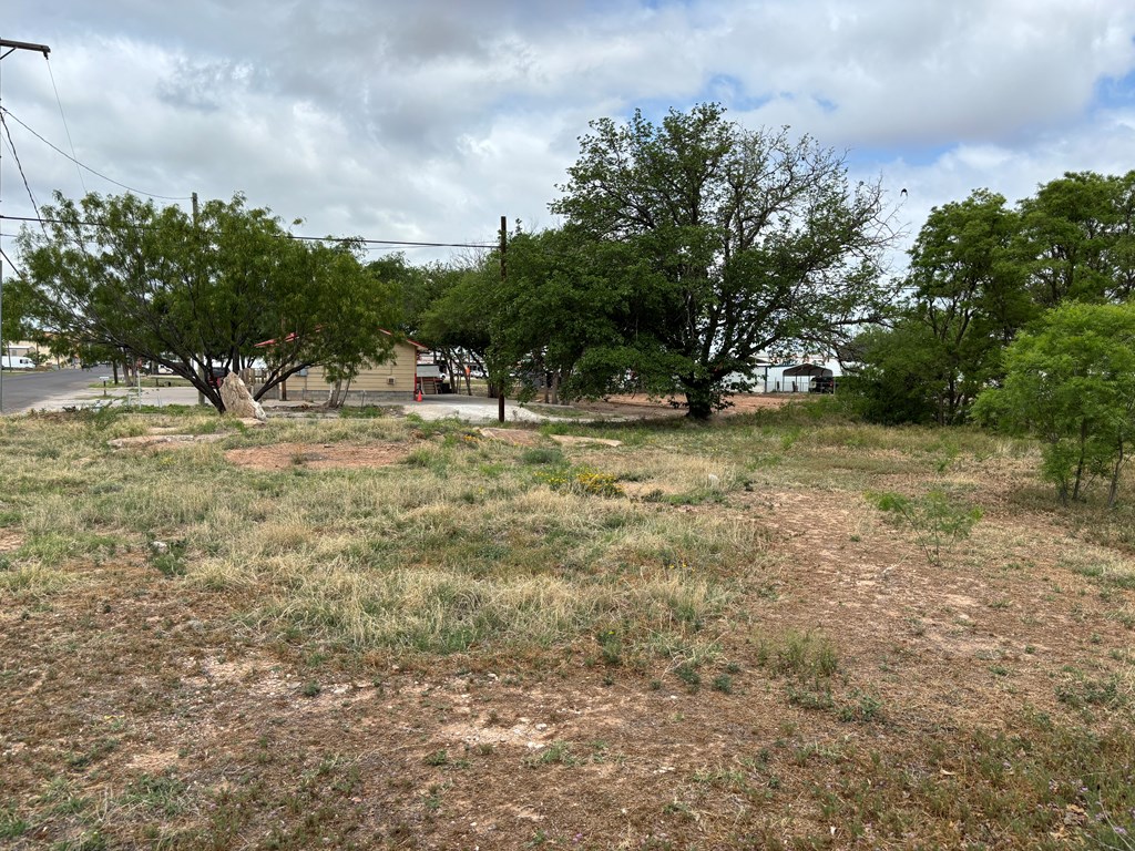 1307 26th St, Snyder, Texas image 13