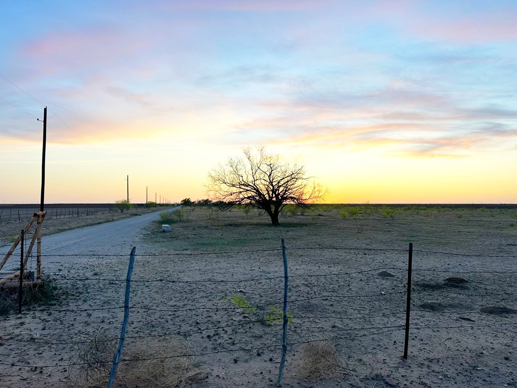 7410 W Fm 818, Big Spring, Texas image 40