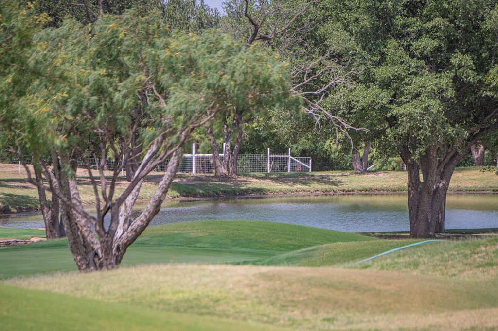 2459 County Rd 1105, Snyder, Texas image 35