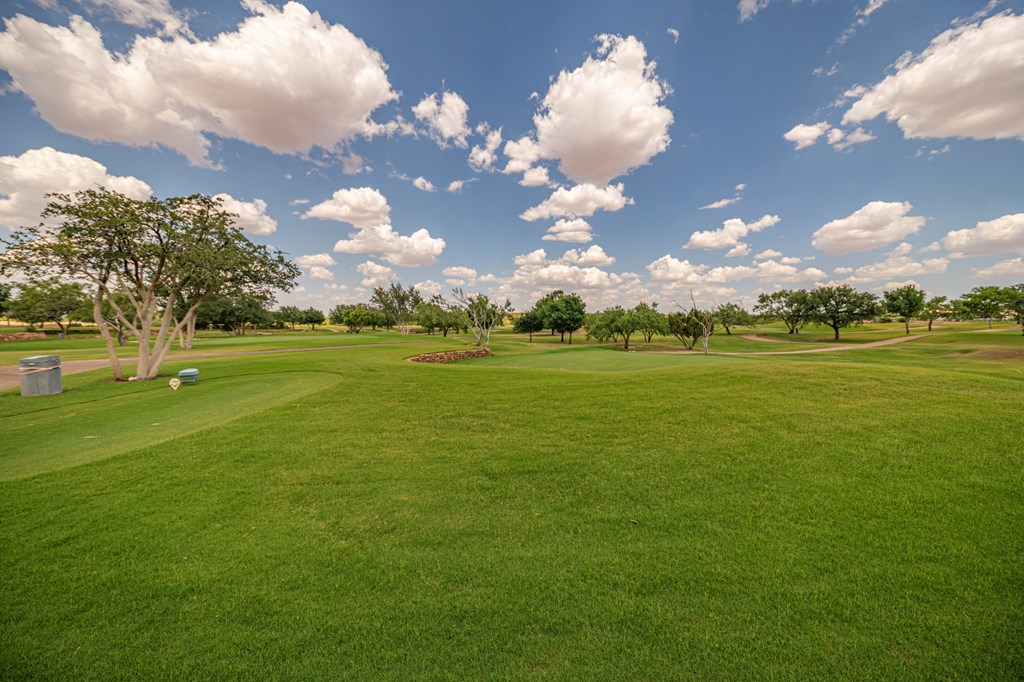 2459 County Rd 1105, Snyder, Texas image 26