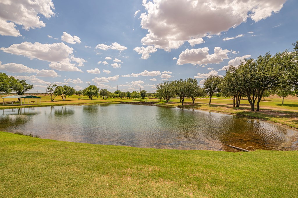 2459 County Rd 1105, Snyder, Texas image 38