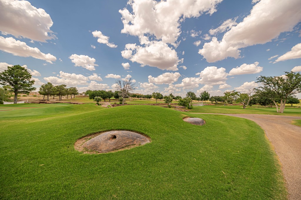 2459 County Rd 1105, Snyder, Texas image 27