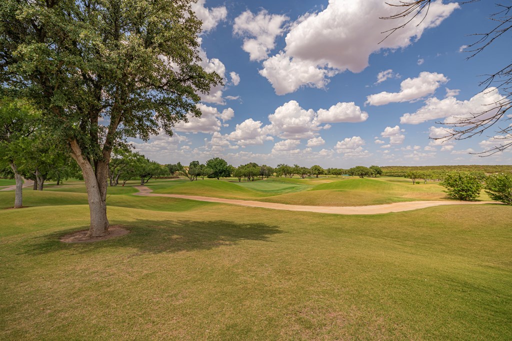 2459 County Rd 1105, Snyder, Texas image 28