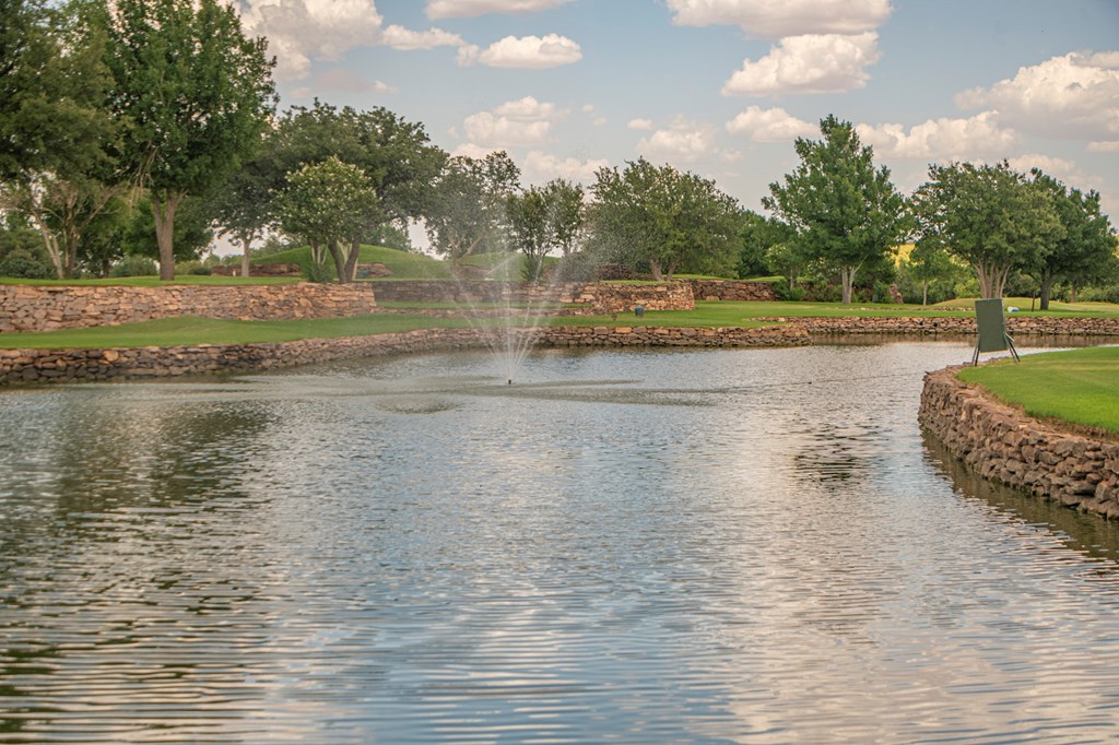 2459 County Rd 1105, Snyder, Texas image 33