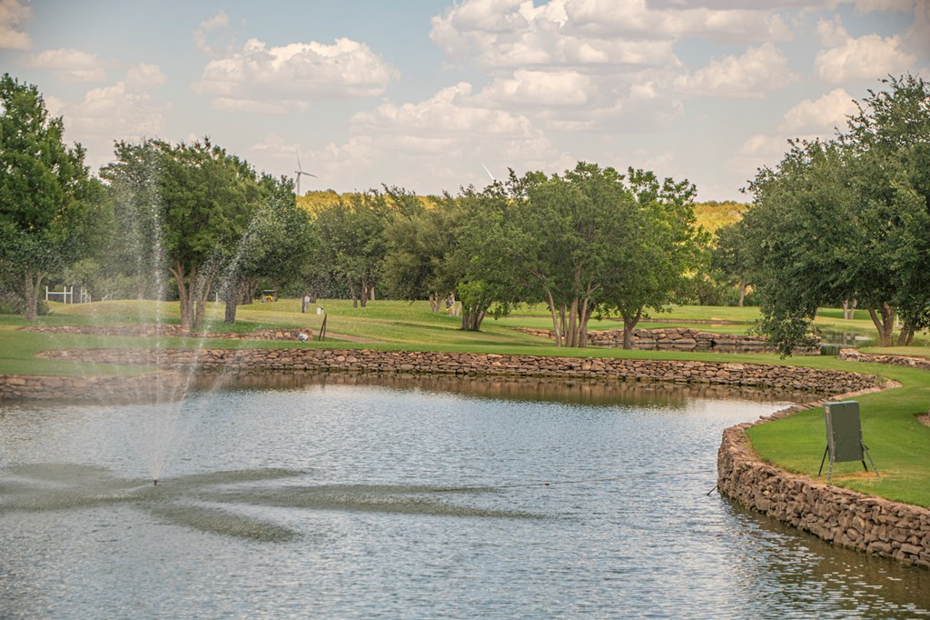 2459 County Rd 1105, Snyder, Texas image 23
