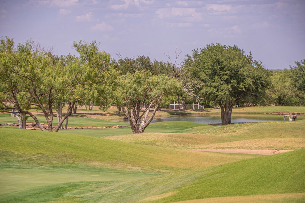2459 County Rd 1105, Snyder, Texas image 29