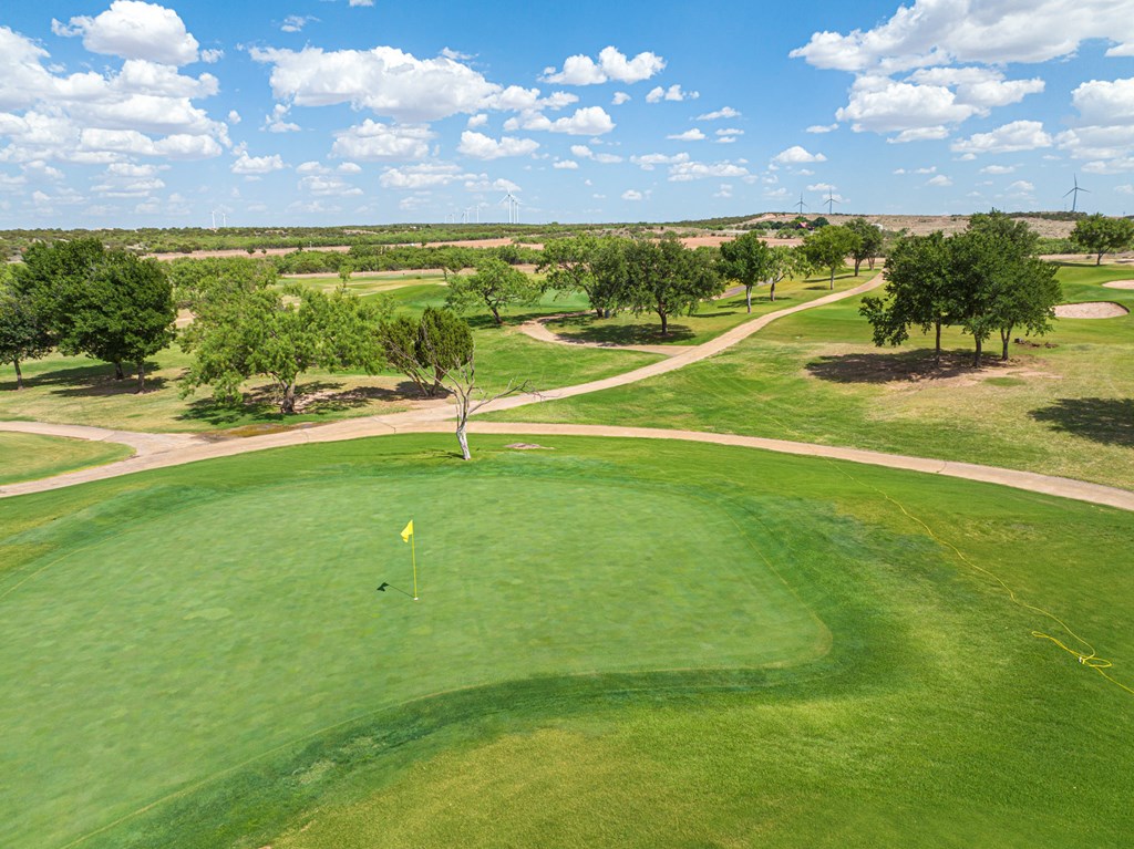 2459 County Rd 1105, Snyder, Texas image 19