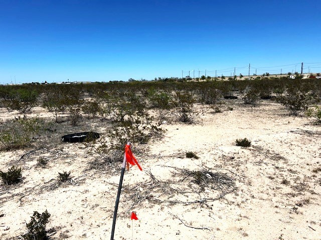 0000 Hwy 1053, Fort Stockton, Texas image 15