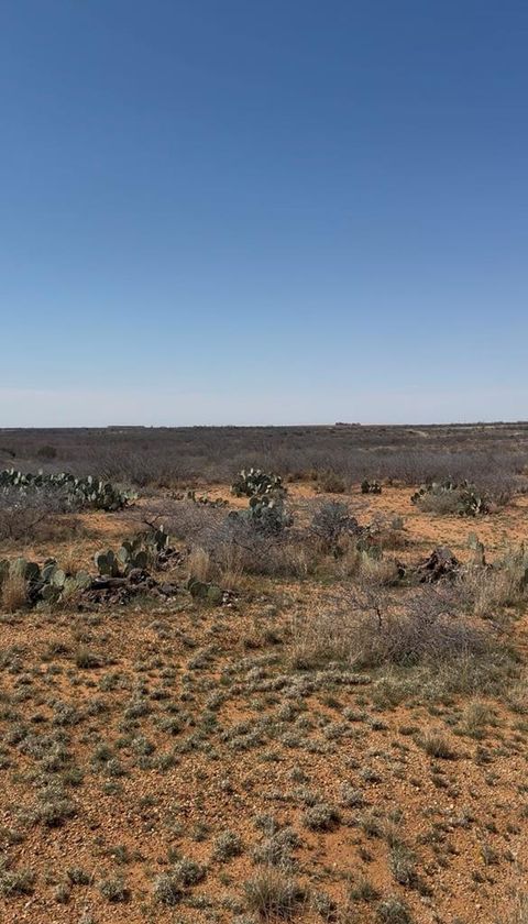 Vacant Land For Sale - 02 Fm 2319<br/> Colorado City, TX 79512