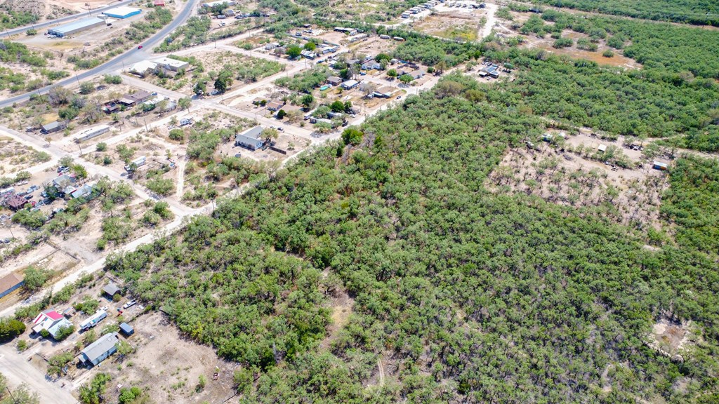 101 N Algerita St, Big Spring, Texas image 5