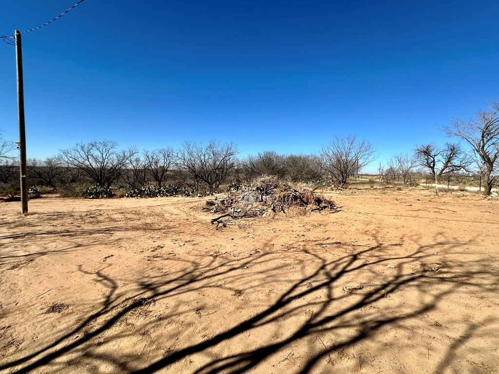 1073 Lcr 175, Colorado City, Texas image 10