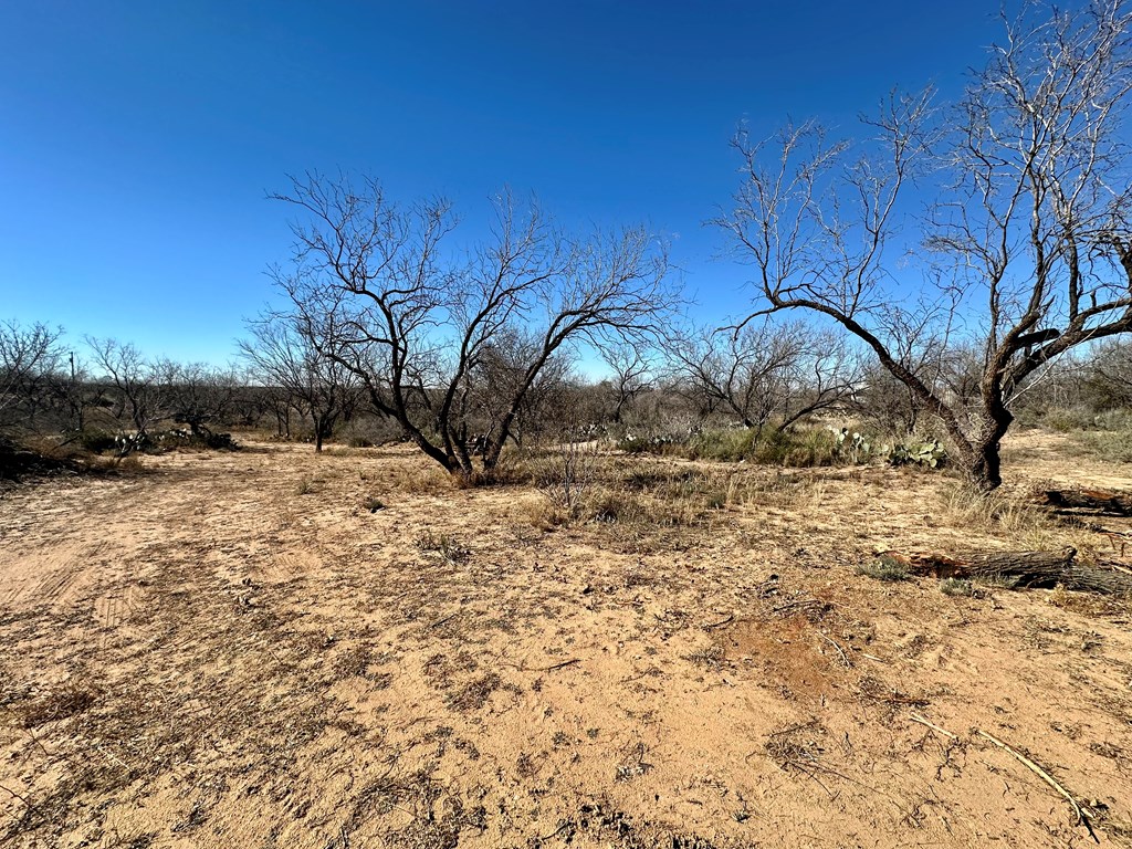 1073 Lcr 175, Colorado City, Texas image 9