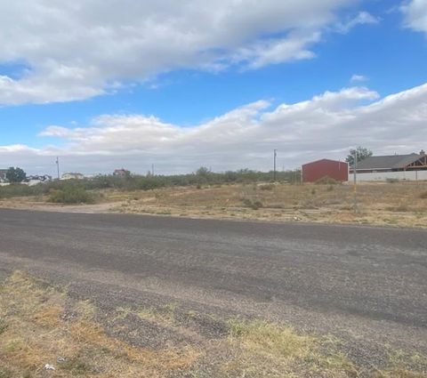Vacant Land For Sale - 1406 N Eva Ave<br/> Ward County, Monahans, TX 79735
