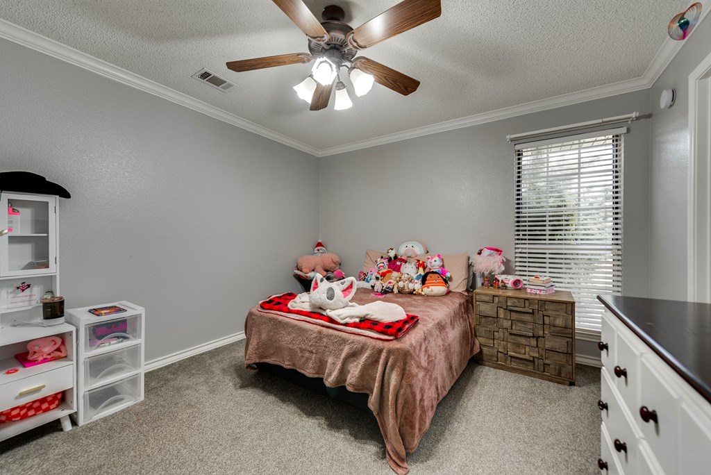 5709 E County Rd 97, Midland, Texas image 24