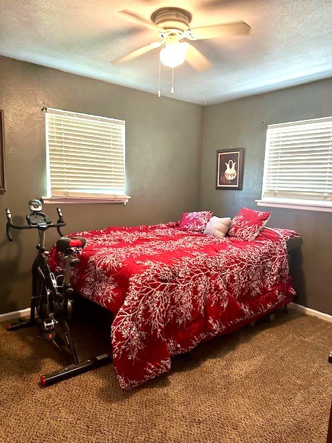 1203 W Gallager, Fort Stockton, Texas image 8