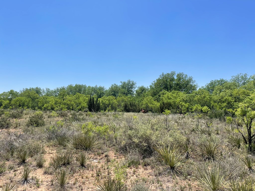 0000 Fm 669, Big Spring, Texas image 6