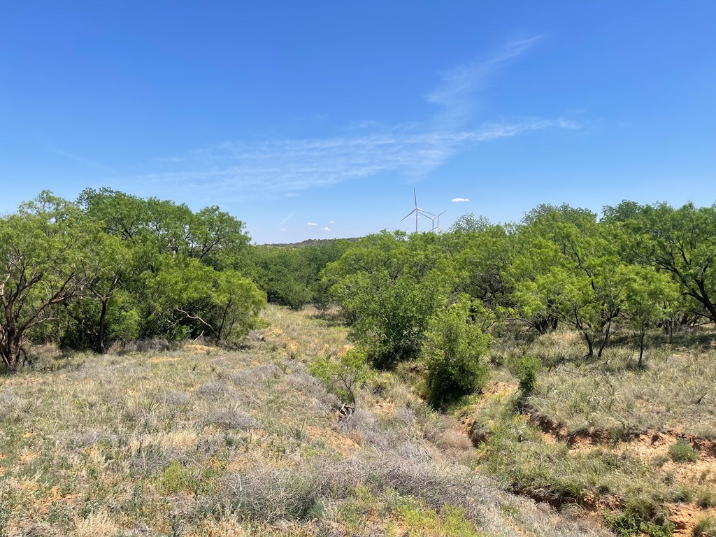 0000 Fm 669, Big Spring, Texas image 2