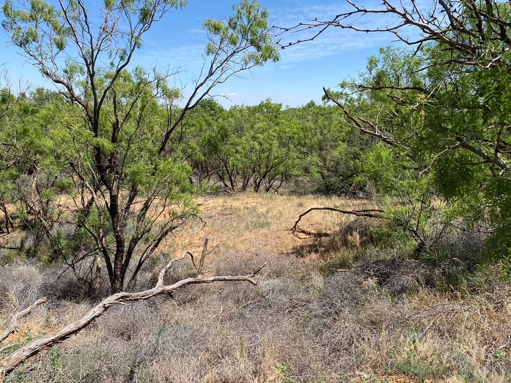 0000 Fm 669, Big Spring, Texas image 3