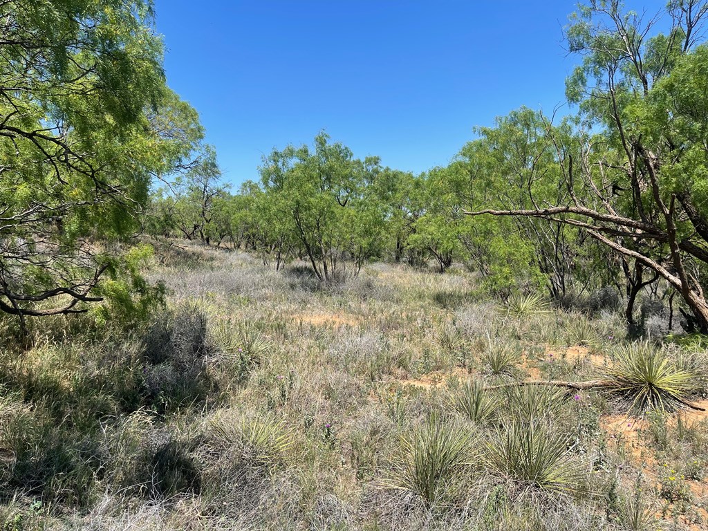 0000 Fm 669, Big Spring, Texas image 7