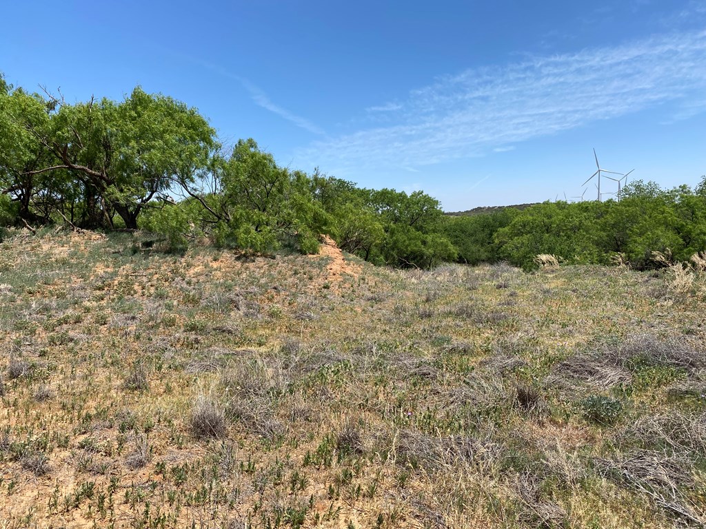 0000 Fm 669, Big Spring, Texas image 4