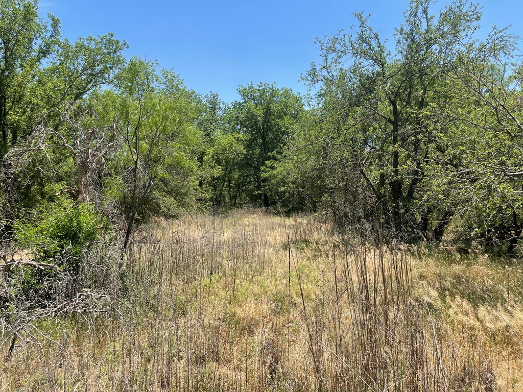 0000 Fm 669, Big Spring, Texas image 9