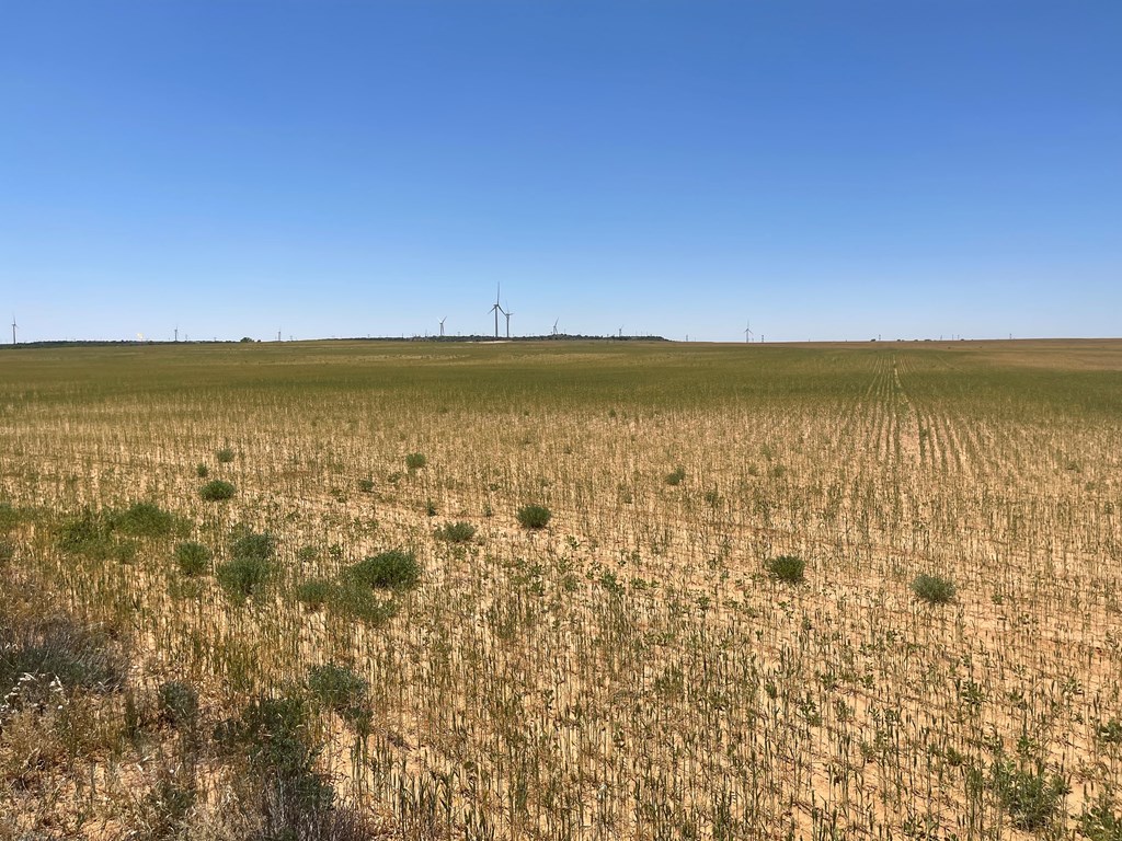 0000 Fm 669, Big Spring, Texas image 16