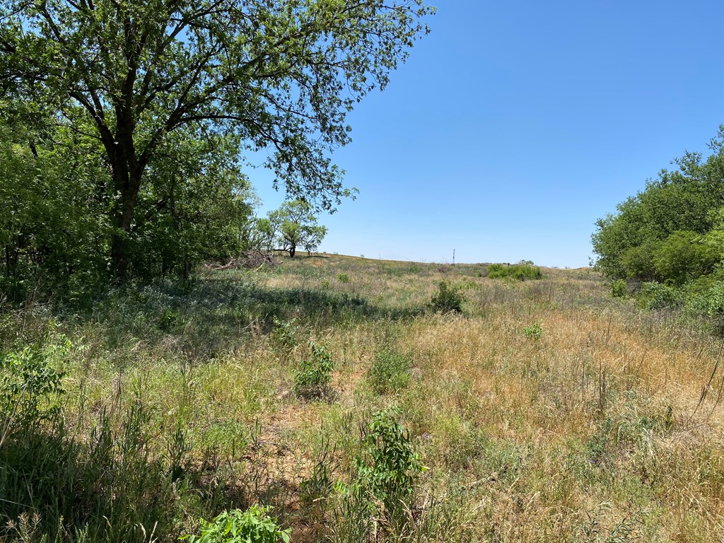 0000 Fm 669, Big Spring, Texas image 8