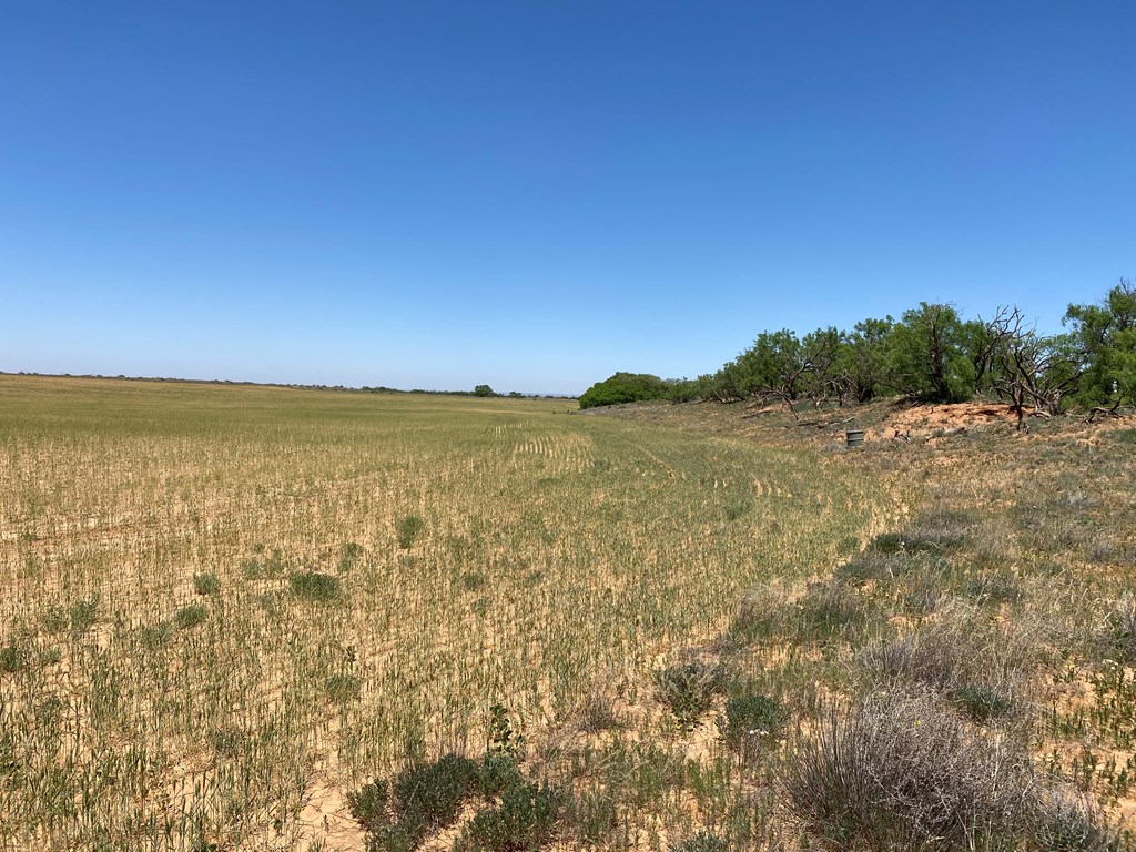 0000 Fm 669, Big Spring, Texas image 18