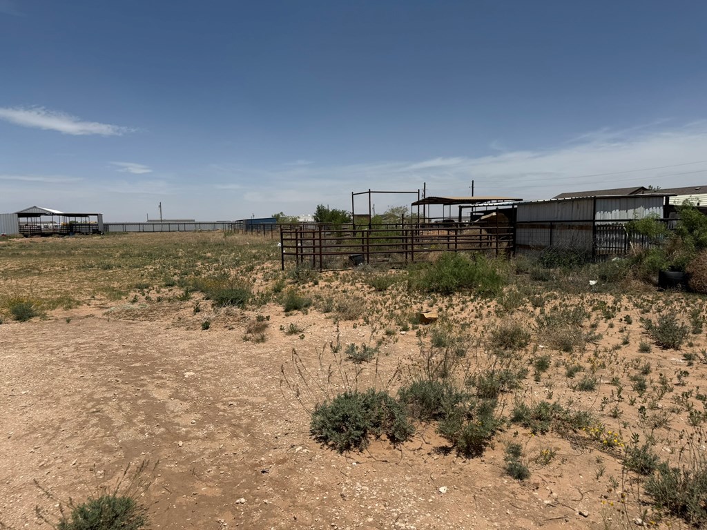 2511 E County Rd 156, Midland, Texas image 5