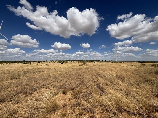 21 I-20, COLORADO CITY, TX 79512 - Image 4f92d9ff01d7ccc8a517ce89eaab2f8c/69728947