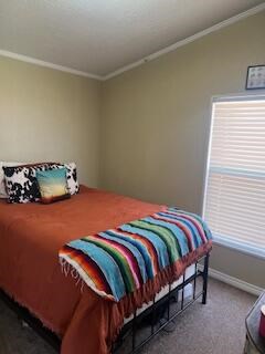 567 County Rd 126, Snyder, Texas image 5