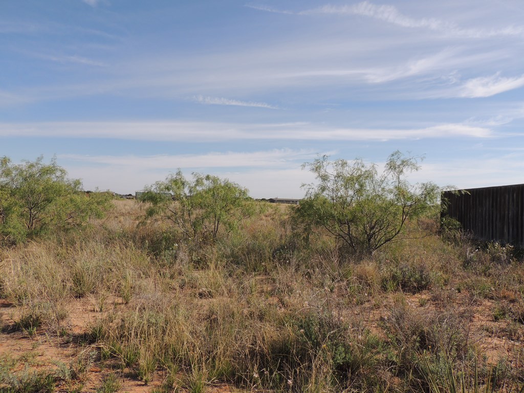 1113 E County Rd 150 #A, Midland, Texas image 47