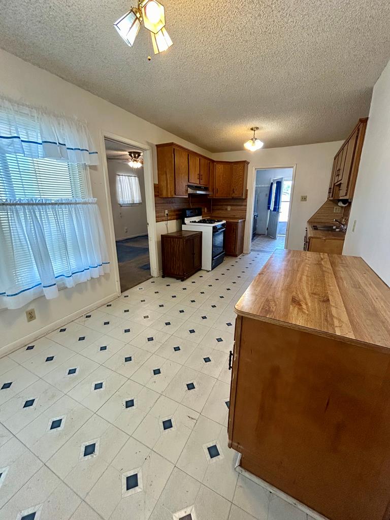 1801 N Texas St, Fort Stockton, Texas image 13