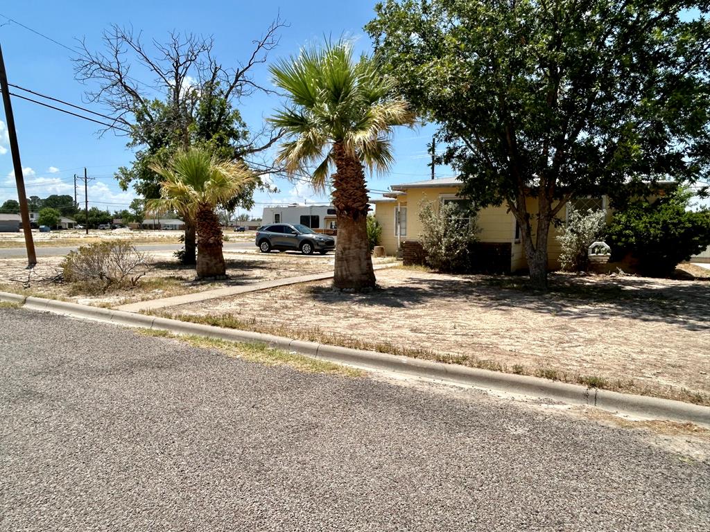 1801 N Texas St, Fort Stockton, Texas image 2