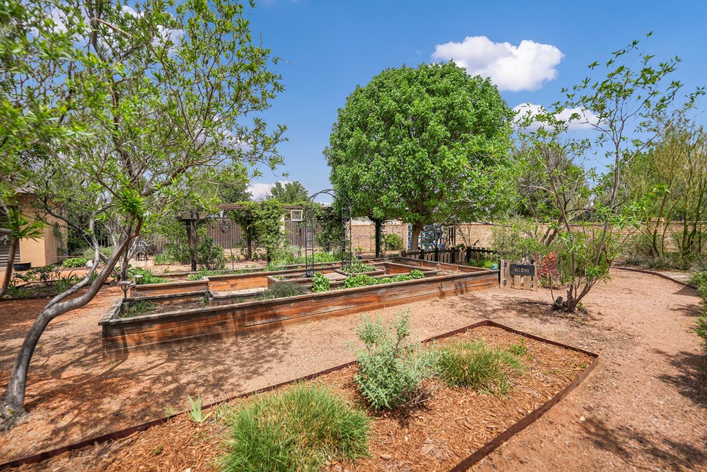 2304 Texland Circle, Midland, Texas image 4