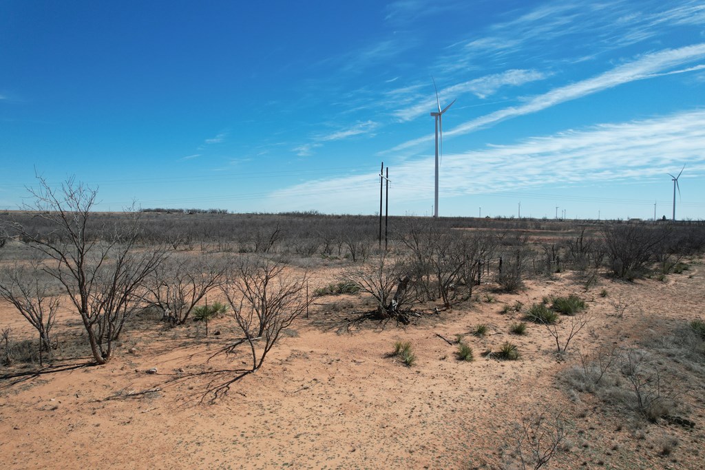 6482 County Rd 3105, Snyder, Texas image 22