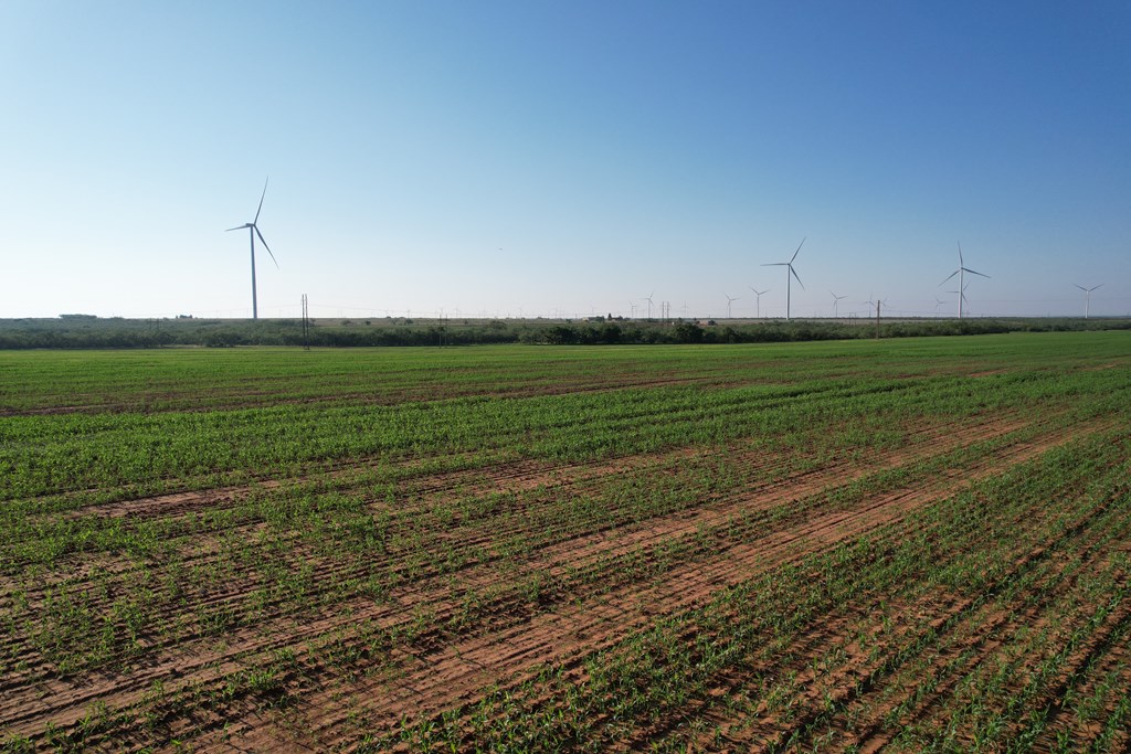 6482 County Rd 3105, Snyder, Texas image 11