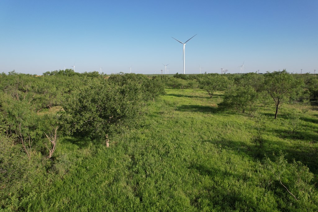 6482 County Rd 3105, Snyder, Texas image 14