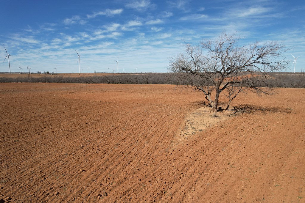 6482 County Rd 3105, Snyder, Texas image 21